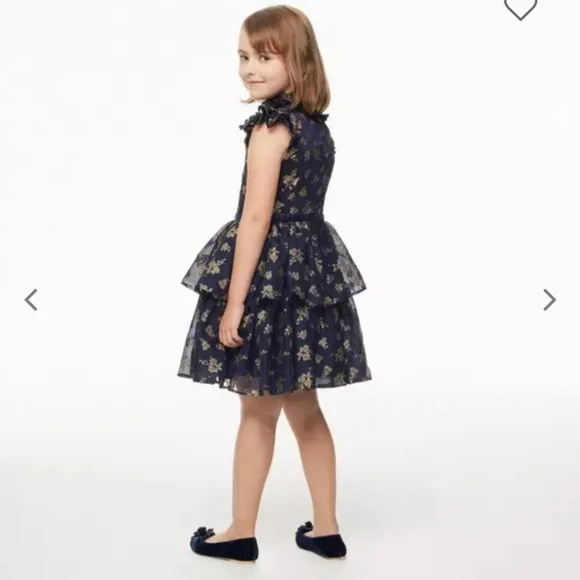 Janie and Jack Girl Dark Marine Glitter Floral Chiffon Dress - Picture 2 of 9